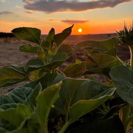 Pensión Domo Il Tramonto